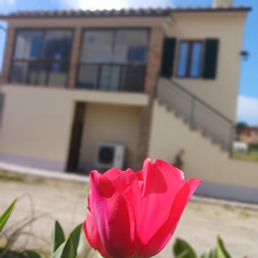فيلا Casa Di Zio مونتيسيانو المظهر الخارجي الصورة